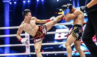 只练两月泰拳然后转练散打,行 中国散打vs泰拳